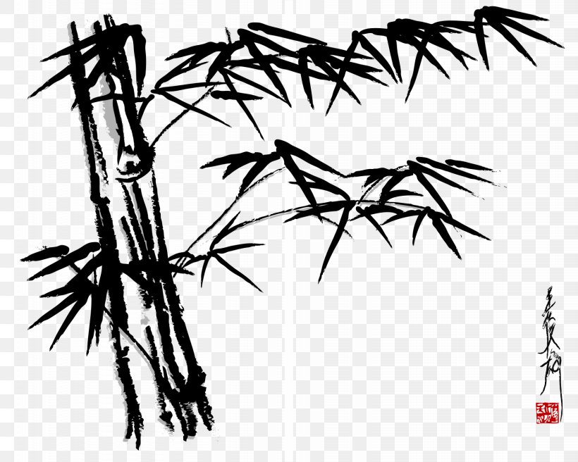 Bamboo Drawing Clip Art, PNG, 1536x1230px, Bamboo, Art, Black And White, Branch, Drawing Download Free