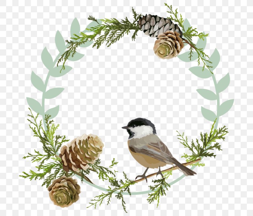 Bird Christmas Clip Art, PNG, 700x700px, Bird, American Sparrows, Beak, Bird Food, Bird Nest Download Free