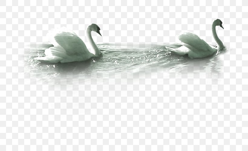 Mute Swan Goose, PNG, 723x500px, Mute Swan, Beak, Bird, Black And White, Cygnini Download Free