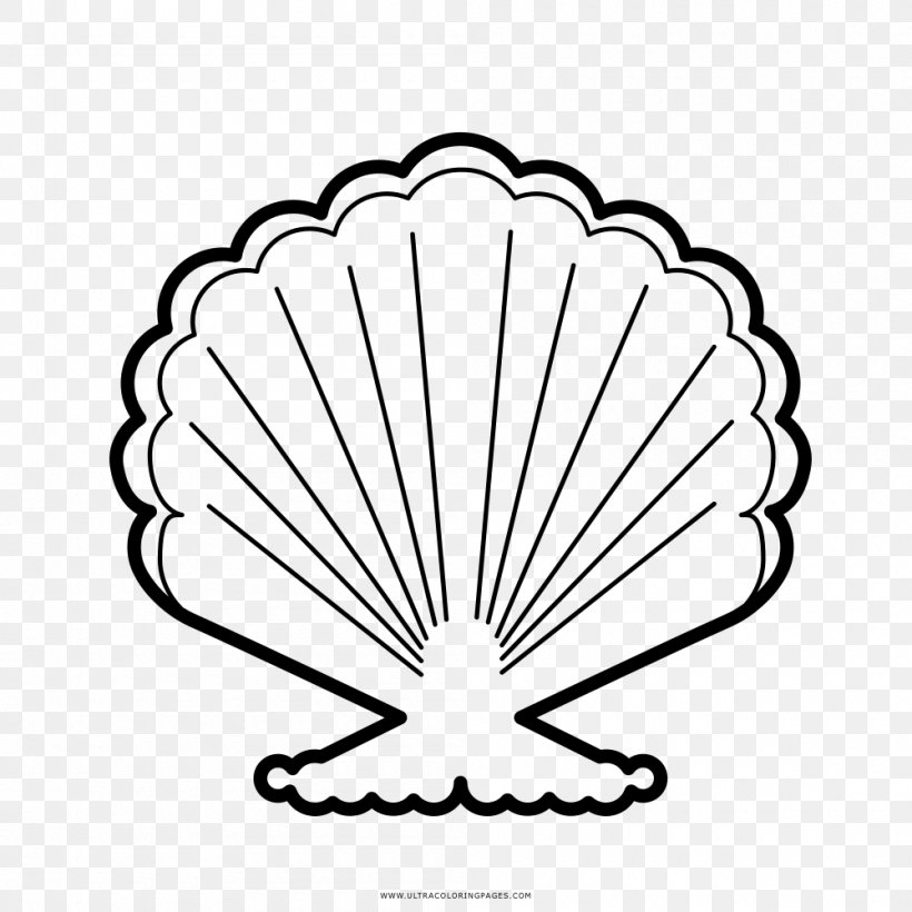 Seashell Drawing, PNG, 1000x1000px, Seashell, Area, Black And White, Coloring Book, Drawing Download Free