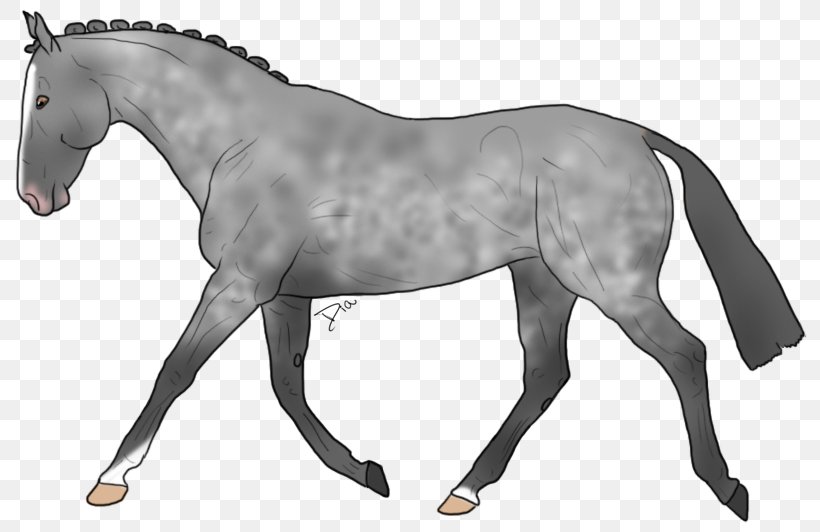 Stallion Warmblood Pony Mane Mustang, PNG, 800x532px, Stallion, Animal Figure, Bridle, Colt, Dutch Warmblood Download Free