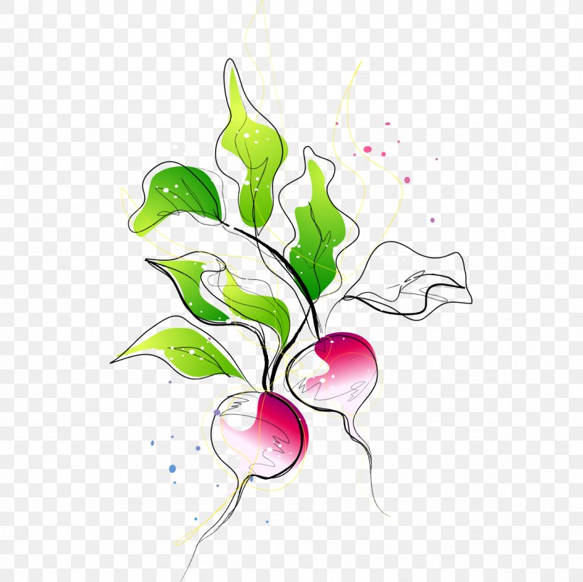 Carrot Vegetable Radish, PNG, 1181x1181px, Carrot, Branch, Drawing, Flora, Floral Design Download Free