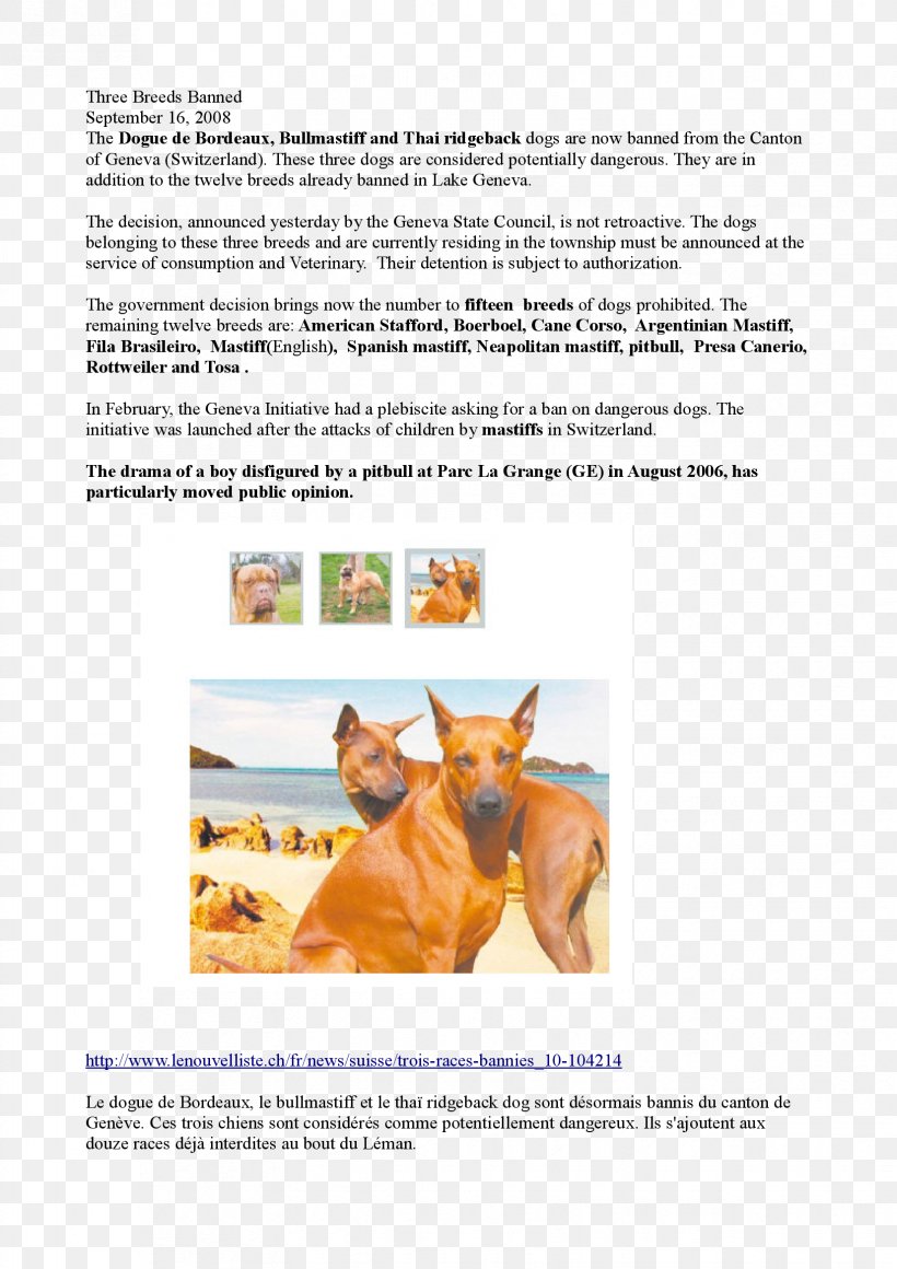 Horse Brochure, PNG, 1653x2339px, Horse, Brochure, Horse Like Mammal, Organism, Text Download Free