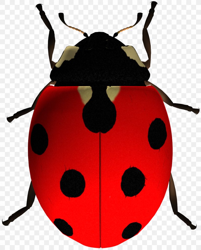 Insect Clip Art Ladybird Beetle The Ladybug, PNG, 1098x1366px, Insect, Arthropod, Beetle, Clipping Path, Fruit Download Free