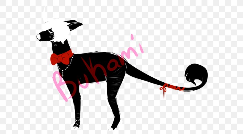Italian Greyhound Dog Breed Cat Leash, PNG, 600x454px, Italian Greyhound, Black, Breed, Carnivoran, Cat Download Free