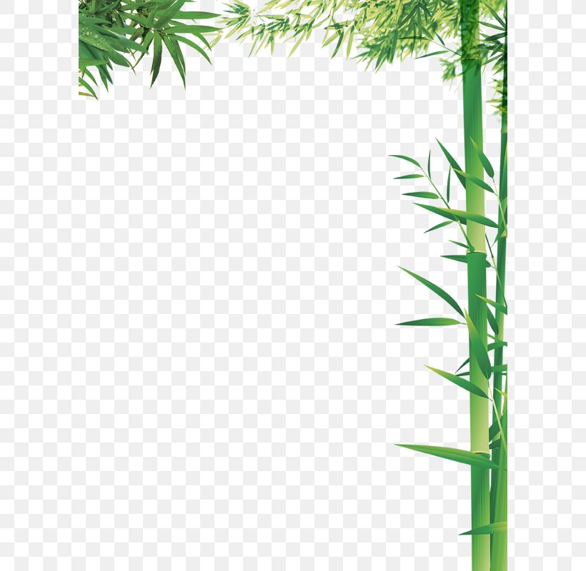 Bamboo Column Bamboe, PNG, 600x800px, Bamboo, Area, Bamboe, Chinese Painting, Column Download Free