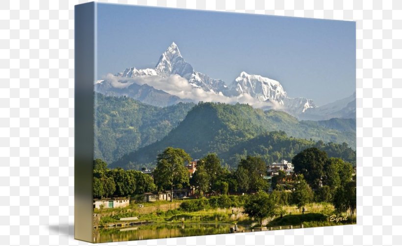 Machapuchare Pokhara Annapurna III Mount Everest Annapurna, Nepal, PNG, 650x502px, Machapuchare, Alps, Annapurna Massif, Hill Station, Himalayas Download Free