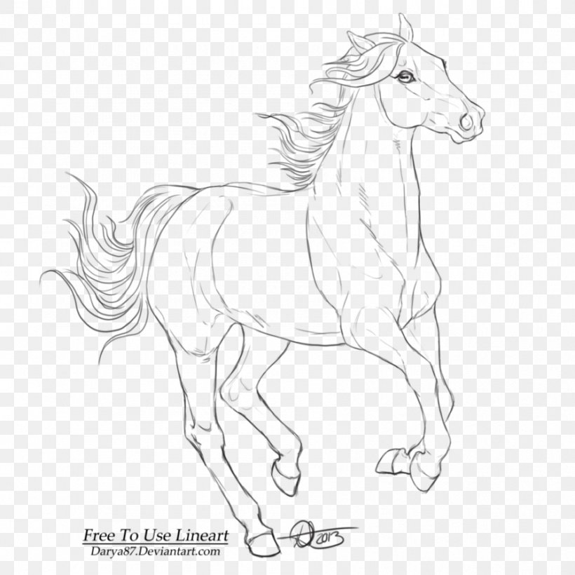 Shetland Pony Mane Mustang Halter, PNG, 894x894px, Shetland Pony, Animal Figure, Artwork, Black And White, Bridle Download Free