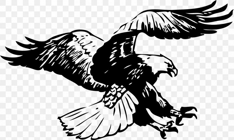 Bald Eagle Black-and-white Hawk-eagle Black And White Clip Art, PNG, 1716x1026px, Bald Eagle, Accipitriformes, Art, Beak, Bird Download Free
