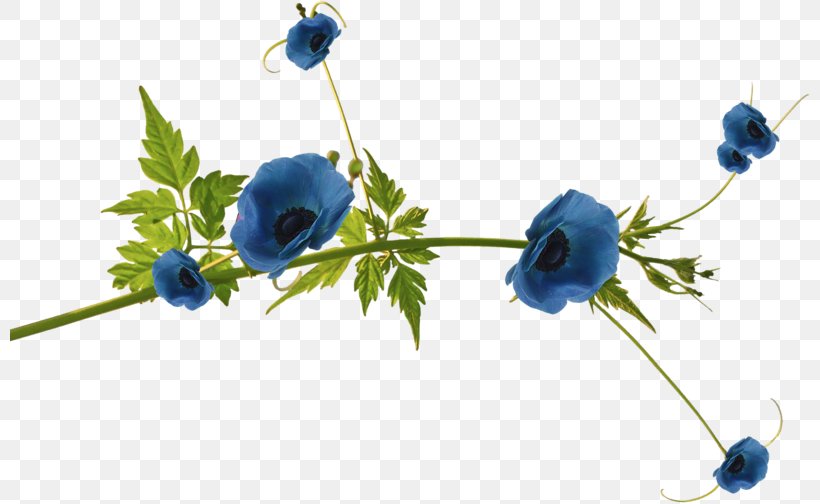 Blue Flower Clip Art Floral Design, PNG, 800x504px, Blue, Anemone, Branch, Color, Cut Flowers Download Free