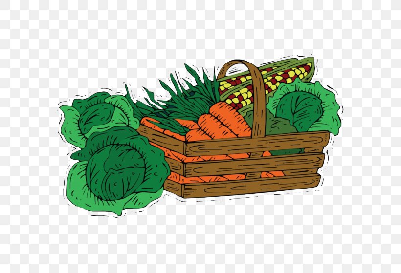 Cabbage Vegetable Oil Carrot, PNG, 650x559px, Cabbage, Carrot, Cartoon, Cauliflower, Cooking Oils Download Free
