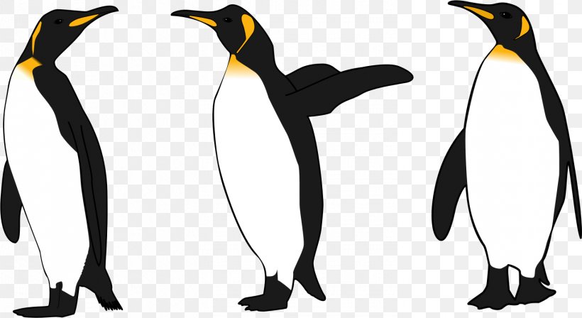 King Penguin Emperor Penguin Clip Art, PNG, 1499x819px, Penguin, Animal, Beak, Bird, Black And White Download Free