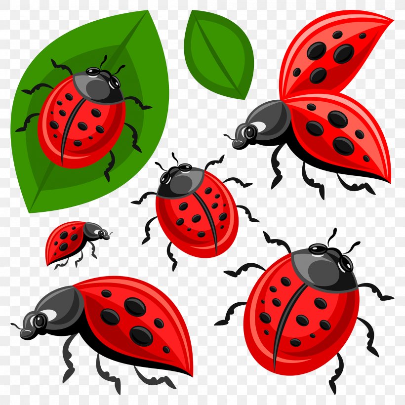 Ladybird Beetle Clip Art, PNG, 2000x2000px, Beetle, Cartoon, Clip Art, Coccinella Septempunctata, Harlequin Ladybird Download Free