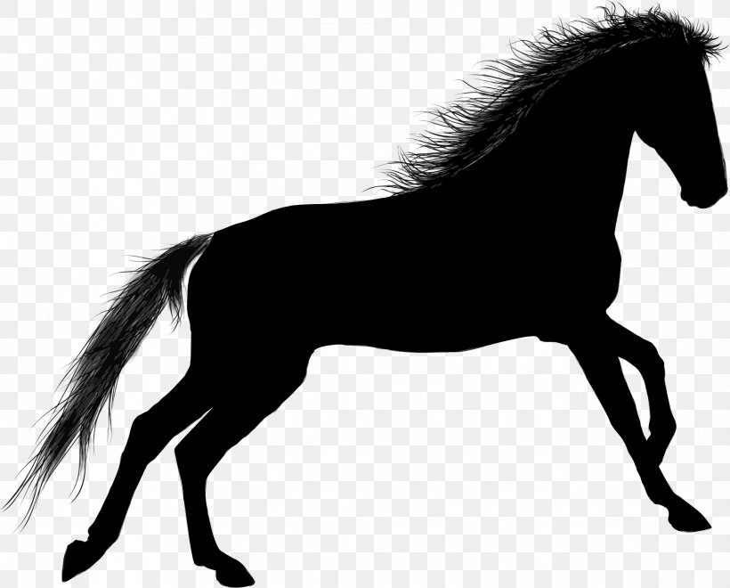 T-shirt Stallion Mustang Pony Friesian Horse, PNG, 2326x1873px, Tshirt, Black And White, Bridle, Colt, Draft Horse Download Free