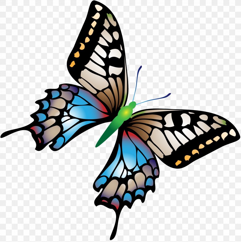 Butterfly Papillon Dog Insect, PNG, 4014x4024px, Butterfly, Artwork, Brush Footed Butterfly, Butterflies And Moths, Color Download Free