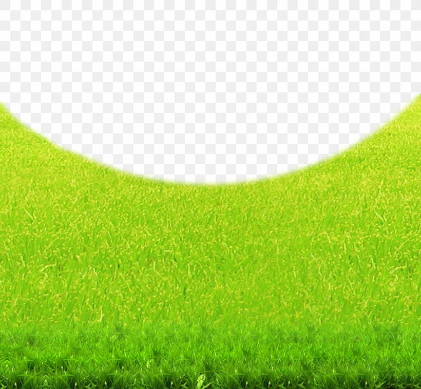 Lawn Green Grasses Grassland Wallpaper, PNG, 1080x999px, Lawn, Computer, Family, Field, Football Download Free