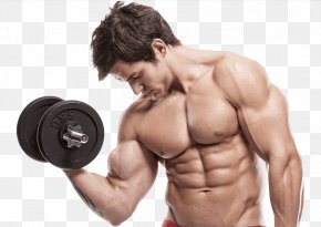 Body Builders Gym Images Body Builders Gym Transparent Png Free