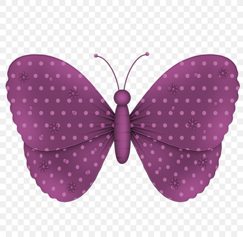 Butterfly Blog Clip Art, PNG, 800x800px, Butterfly, Arthropod, Blog, Brush Footed Butterfly, Butterflies And Moths Download Free