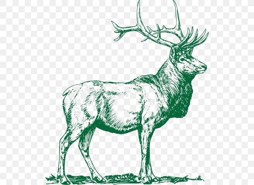 Reindeer Elk Moose Clip Art, PNG, 528x599px, Deer, Animal, Antler, Art, Black And White Download Free