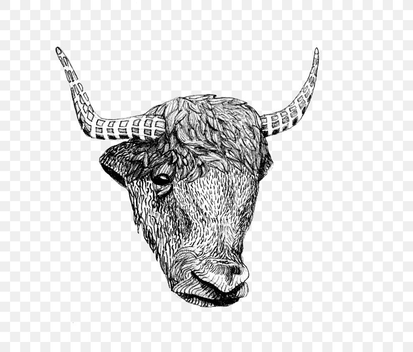 Texas Longhorn English Longhorn Ox, PNG, 663x700px, Texas Longhorn, Black And White, Bull, Cattle Like Mammal, Cow Goat Family Download Free