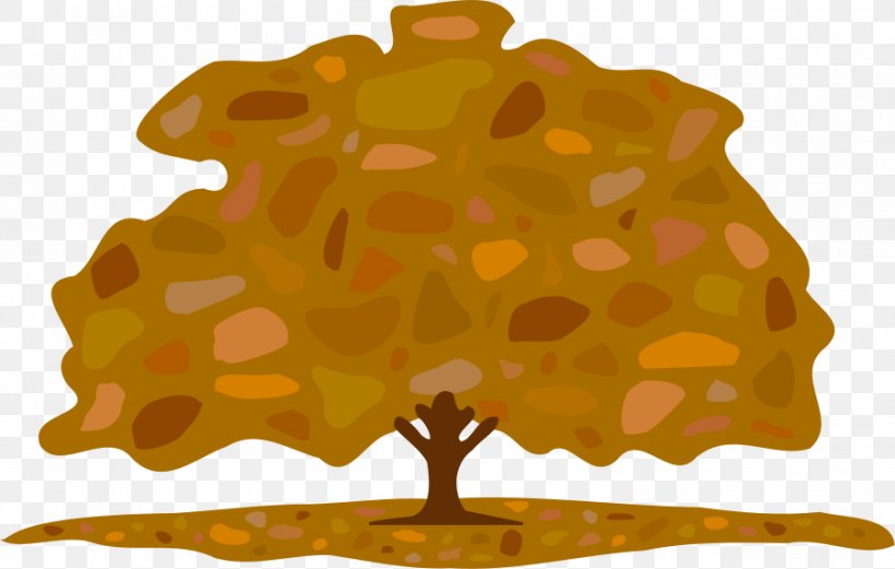 Autumn Worksheet Clip Art, PNG, 900x572px, Autumn, Autumn Leaf Color, Information, Leaf, Reading Comprehension Download Free