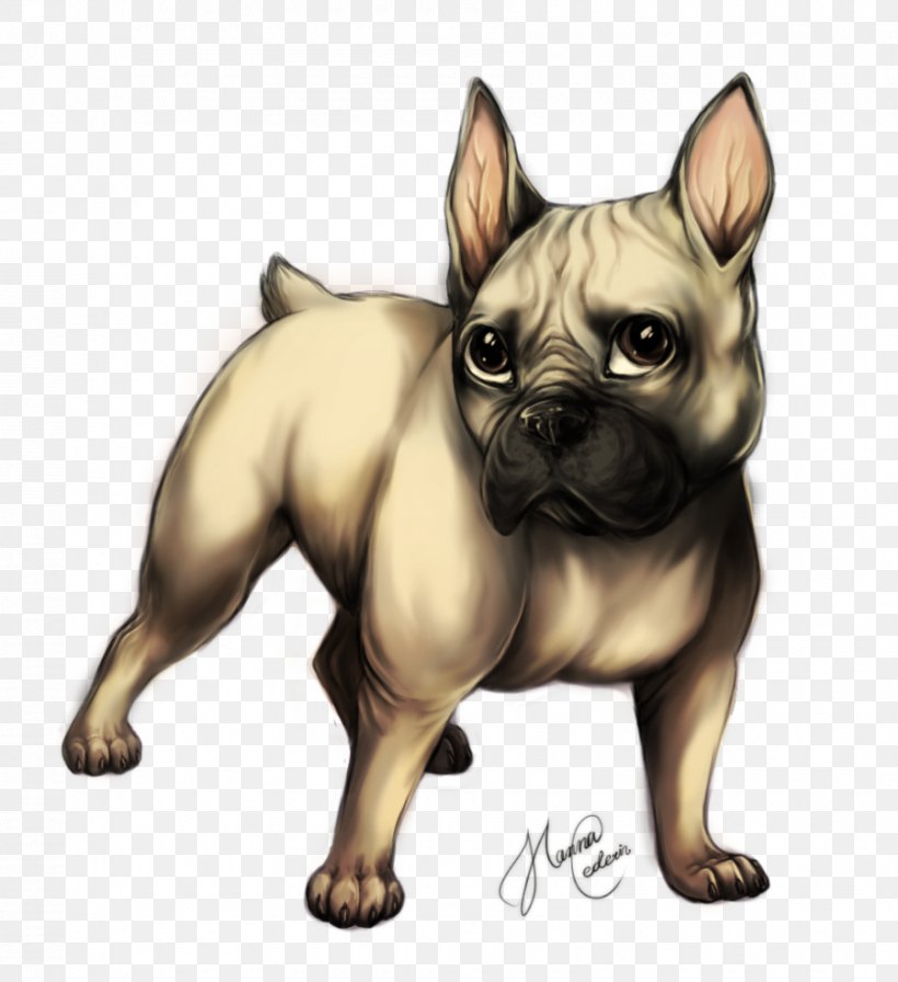 French Bulldog Bull Terrier Puppy Drawing, PNG, 900x984px, French Bulldog, Breed, Brindle, Bull Terrier, Bulldog Download Free