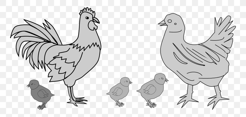 Rooster Chicken Drawing Line Art Clip Art, PNG, 800x390px, Rooster, Animal, Animal Figure, Art, Artwork Download Free