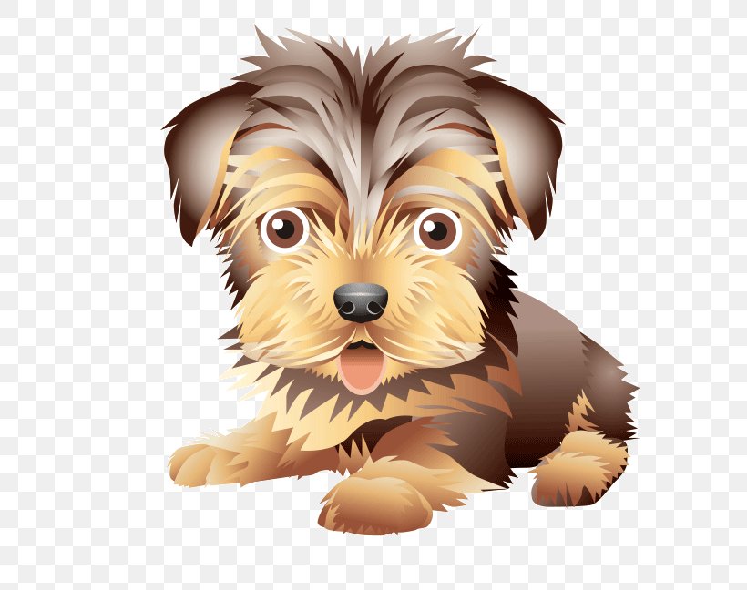 Yorkshire Terrier Morkie Australian Silky Terrier Puppy Norwich Terrier, PNG, 636x648px, Yorkshire Terrier, Australian Silky Terrier, Australian Terrier, Cairn Terrier, Carnivoran Download Free