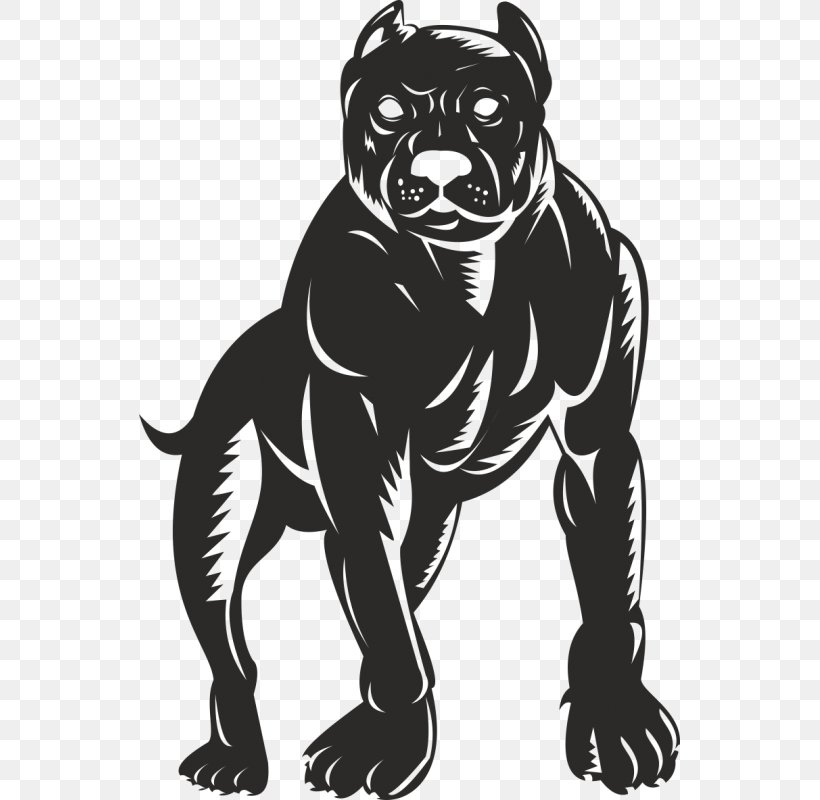 American Pit Bull Terrier Bulldog Puppy, PNG, 800x800px, Pit Bull, American Pit Bull Terrier, Animal, Art, Big Cats Download Free