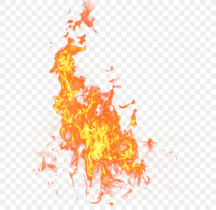 Fire Flame Icon, PNG, 600x800px, Fire, Display Resolution, Editing ...