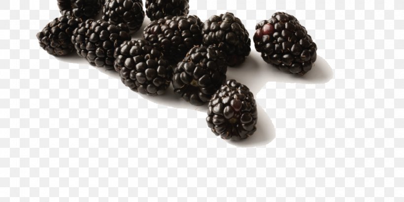 Gelatin Dessert Frutti Di Bosco Marmalade Black Raspberry, PNG, 1000x500px, Gelatin Dessert, Berry, Black Raspberry, Blackberry, Compote Download Free