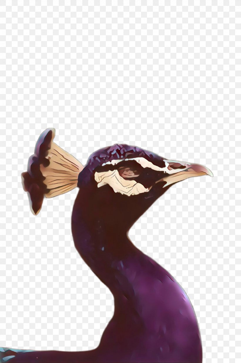 Purple Violet Bird Beak Duck, PNG, 1628x2455px, Purple, Beak, Bird, Duck, Ducks Geese And Swans Download Free