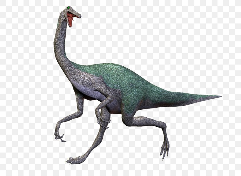 Velociraptor PhotoScape Clip Art, PNG, 800x600px, Velociraptor, Animal, Animal Figure, Dinosaur, Email Download Free