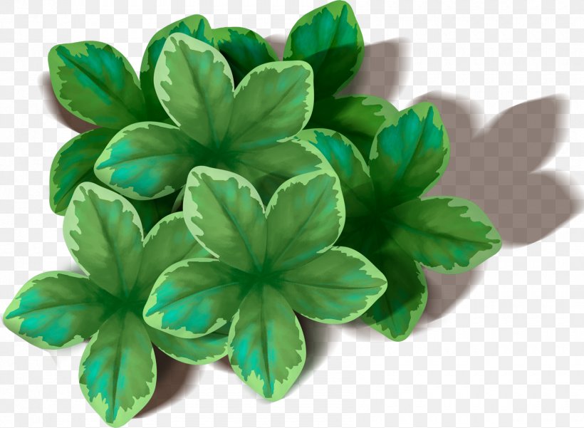 Leaf Green Petal, PNG, 1700x1246px, Wrinkle, Epidermis, Gardening, Green, Image Resolution Download Free