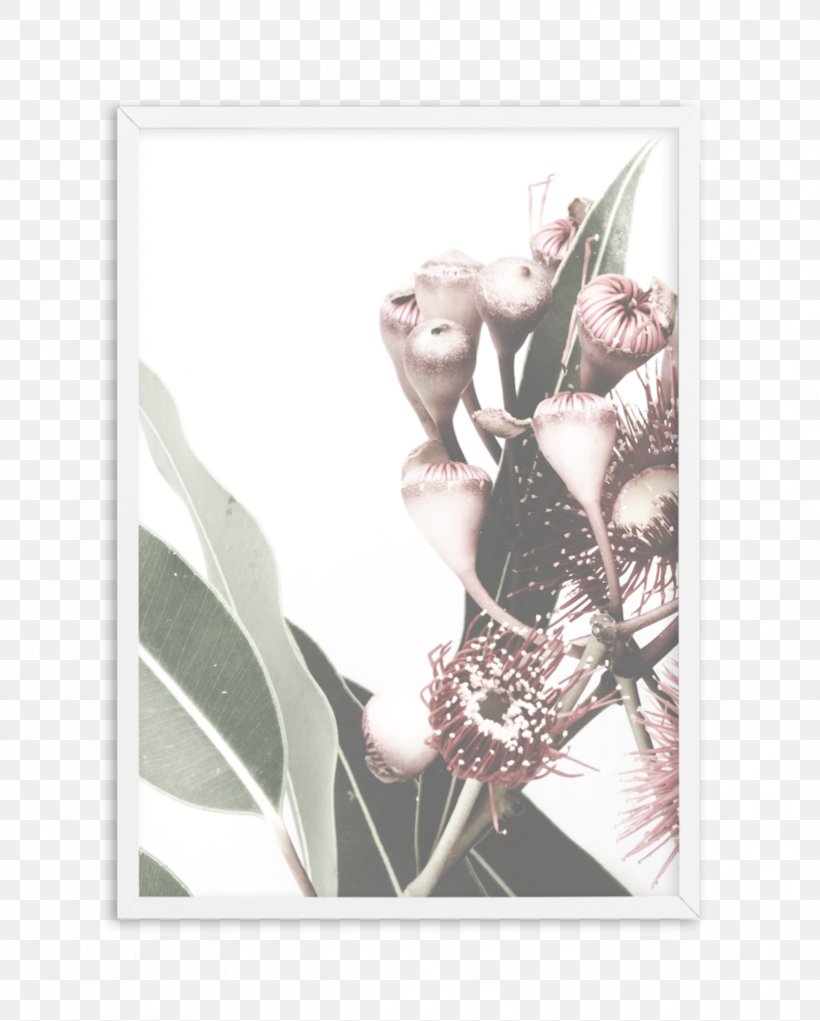 Picture Frames Photography Poster Image, PNG, 821x1023px, Picture Frames, Art, Dimension, Gum Trees, Photography Download Free