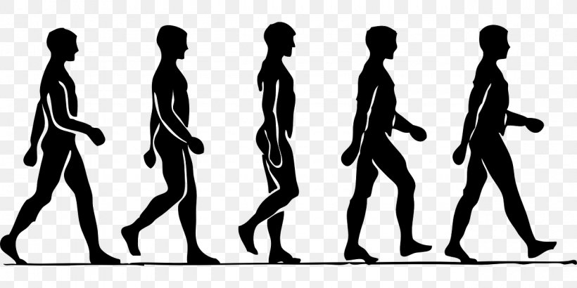 Walking Drawing Clip Art, PNG, 1280x640px, Walking, Animation, Arm, Black And White, Drawing Download Free
