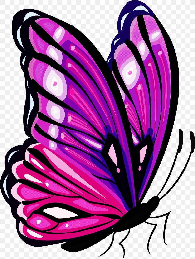 Butterfly Moths And Butterflies Purple Wing Insect, PNG, 1998x2653px, Butterfly, Brushfooted Butterfly, Insect, Moths And Butterflies, Pink Download Free