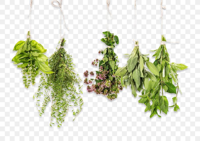 Herb Essential Oil Aromatherapy Thyme Stock Photography, PNG, 762x580px, Herb, Alternative Health Services, Aroma Compound, Aromatherapy, Basil Download Free