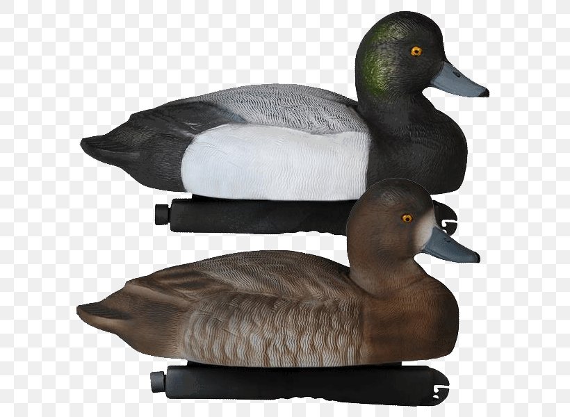 Mallard Duck Decoy Goose, PNG, 600x600px, Mallard, Anseriformes, Beak, Bird, Decoy Download Free