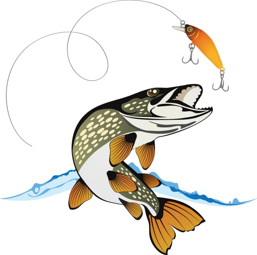 Northern Pike Clip Art Fishing Baits & Lures Vector Graphics, PNG, 1024x1020px, Northern Pike, Angling, Beak, Cartoon, Fauna Download Free