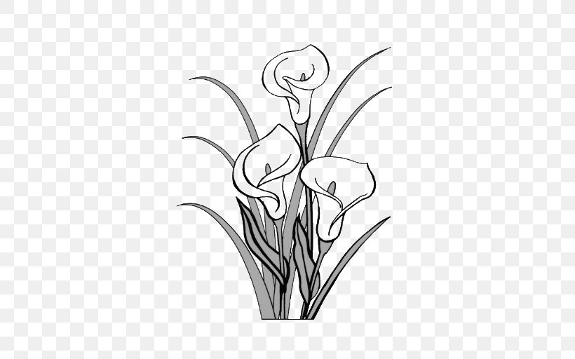 White Lily Flower, PNG, 512x512px, Lily, Amaryllis Belladonna, Amaryllis Family, Arumlily, Blackandwhite Download Free