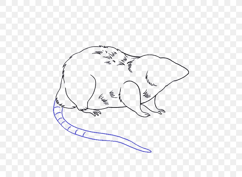 Laboratory Rat Drawing Mouse Sketch, PNG, 678x600px, Watercolor, Cartoon, Flower, Frame, Heart Download Free