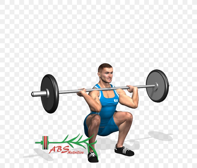 Quadriceps Femoris Muscle Barbell Weight Training Exercise Squat, PNG, 700x700px, Watercolor, Cartoon, Flower, Frame, Heart Download Free