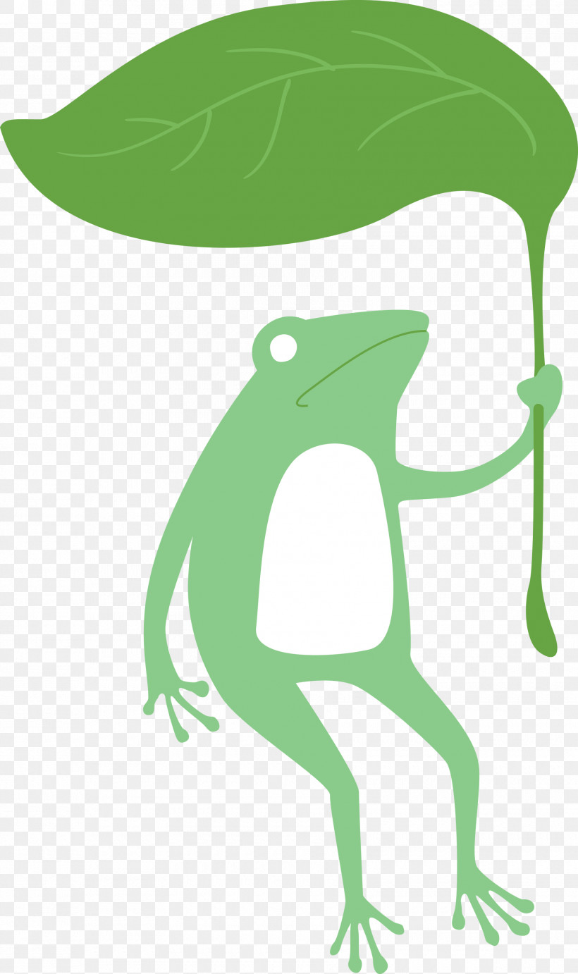 Tree Frog Frogs Meter Leaf Cartoon, PNG, 1780x3000px, Frog, Beak, Cartoon, Frogs, Leaf Download Free