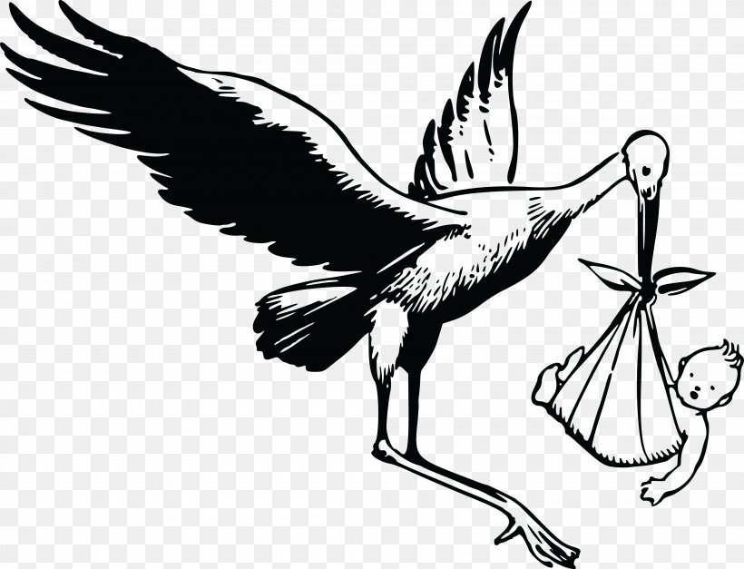 White Stork Bird Heron Clip Art, PNG, 4000x3062px, White Stork, Art, Beak, Bird, Bird Nest Download Free