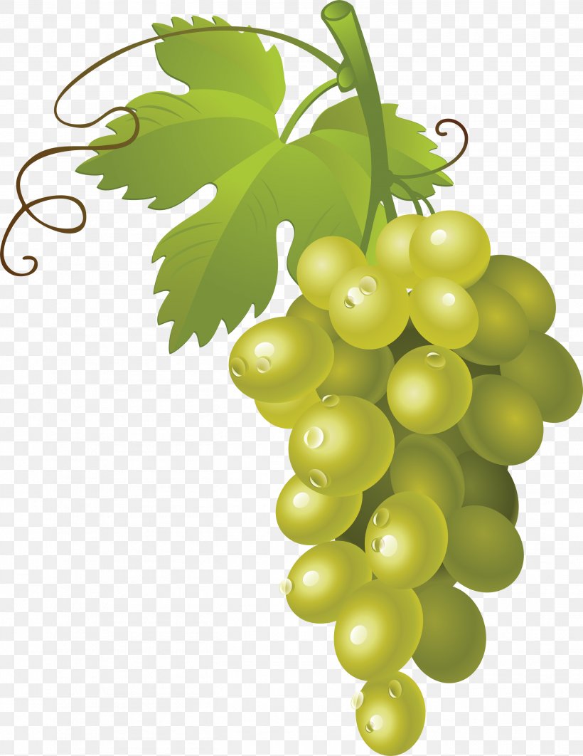 Grape Fruit Clip Art, PNG, 2727x3534px, Wine, Common Grape Vine, Flowering Plant, Food, Fruit Download Free