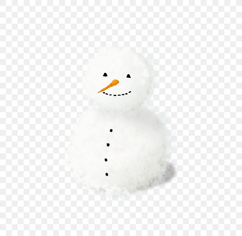 Carrot Snowflake Winter, PNG, 659x800px, Carrot, Beak, Bird, Data Compression, Daucus Carota Download Free