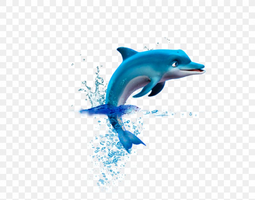 Common Bottlenose Dolphin Short-beaked Common Dolphin Tucuxi Wholphin, PNG, 1140x896px, Common Bottlenose Dolphin, Aqua, Biology, Blue, Bottlenose Dolphin Download Free