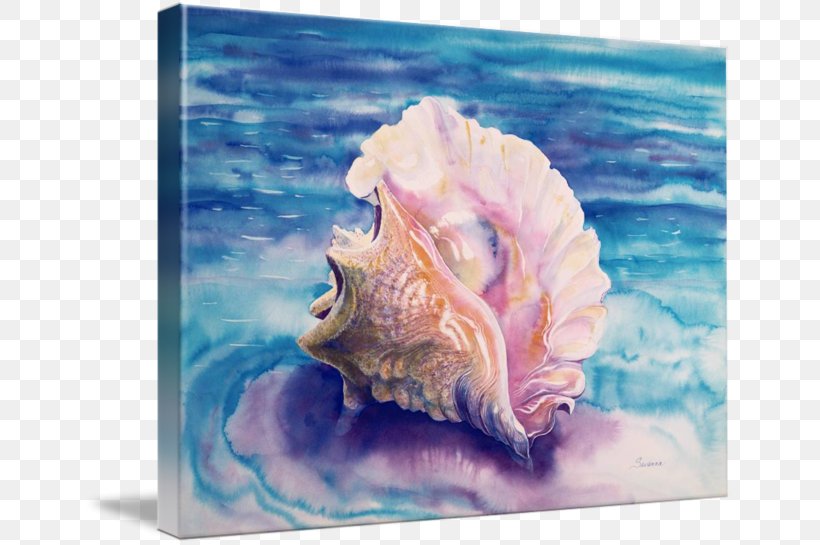 Seashell Watercolor Painting Conch Thepix, PNG, 650x545px, Seashell, Art, Blog, Canvas, Conch Download Free