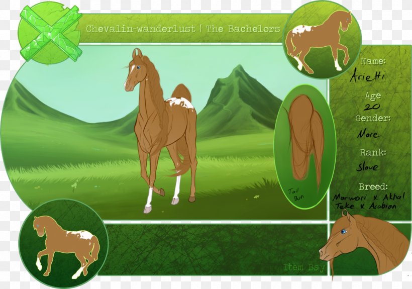 Stallion Mane Halter Pasture, PNG, 1067x749px, Stallion, Cartoon, Fauna, Grass, Green Download Free